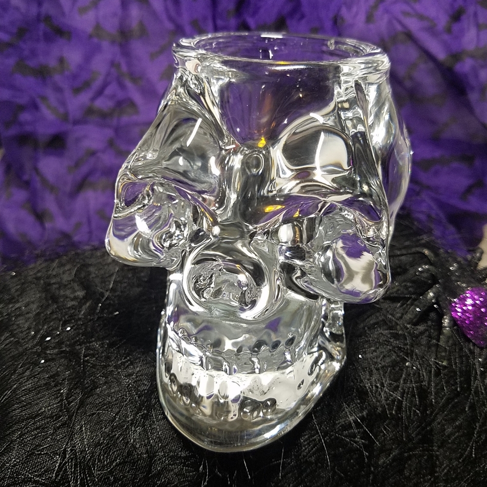 Skull holder